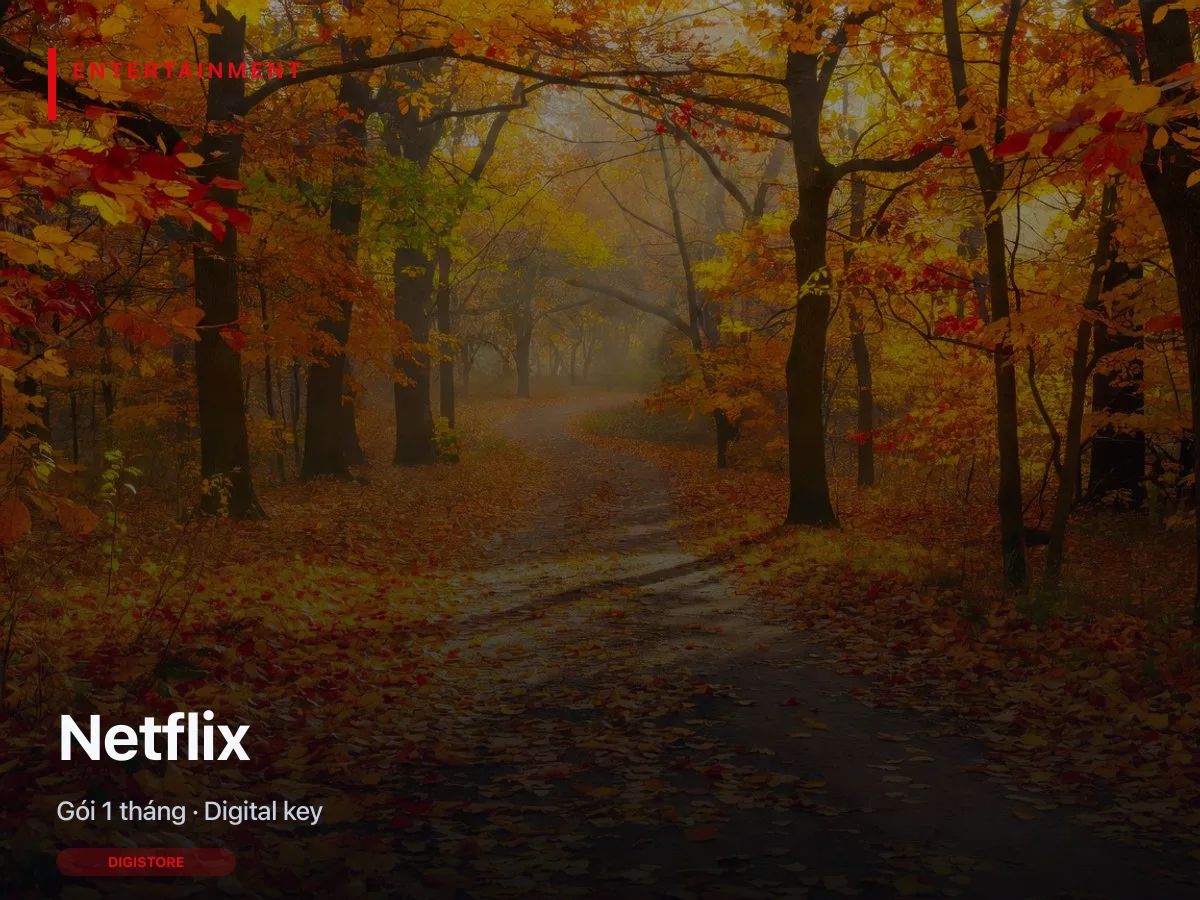 Ảnh bìa Netflix — gói digital key 1 tháng